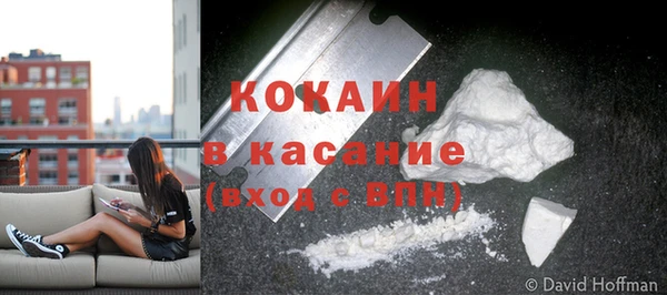 дживик Дмитриев