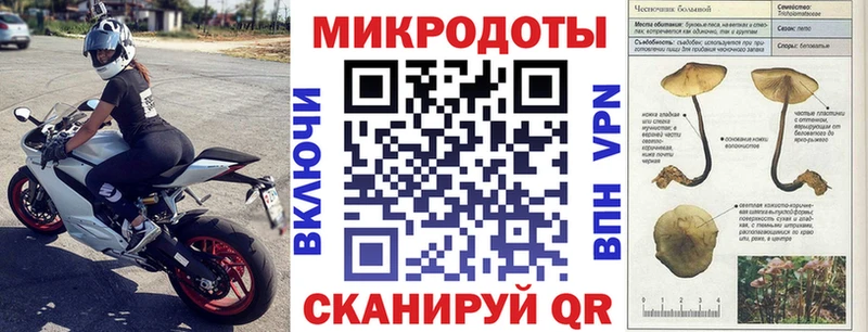 Псилоцибиновые грибы Cubensis гидра зеркало Духовщина